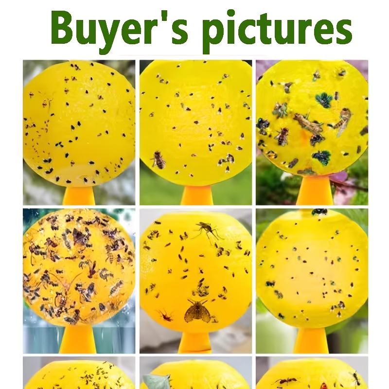 Indoor Flying Insect Catcher,Sticky Trap Balls for Fruit Flies,Gnats,Mosquitoes,Safe Non-Toxic,Place Near Plants,Trash Can,Window,Home,Office Use