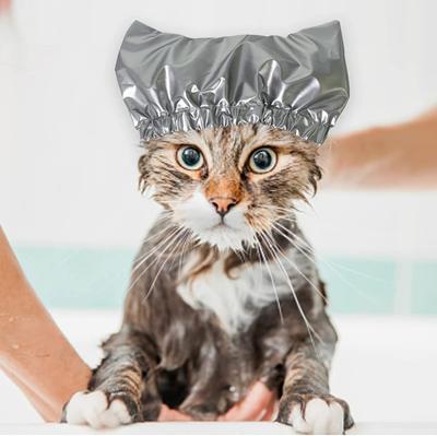 Kedi için Banyo Duş Bonesi Çift Su Geçirmez Katmanlı Banyo Duş Köpek Duş Bonesi Suyun Kulaklara Kaçmasını Önler