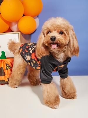 Vêtements et chaussures – Pulls à capuche pour chien