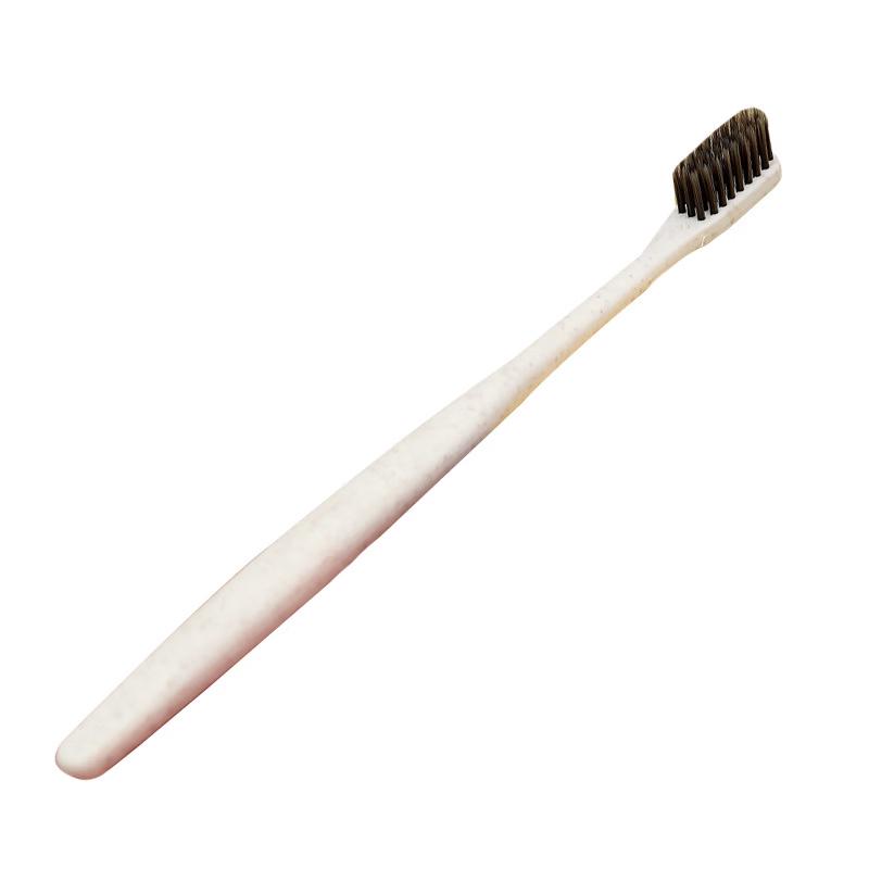 Disposable Travel Toothbrush & Toothpaste Set