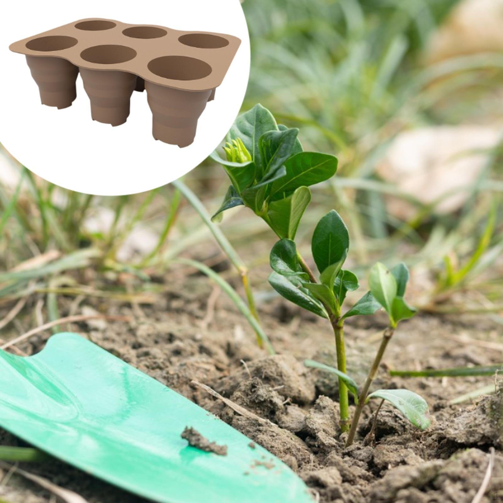 

Детская миска для семян, миска для выращивания растений с отверстиями, практичные легкие панели для посадки растений коричневый