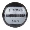 Wlb 6 Kg Wall Ball Hms Exercise Ball