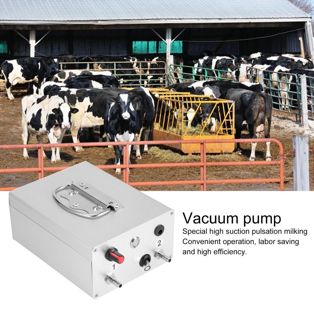 Melkmaschine Vakuumpumpe Pulsationsstecker Elektrische Melkmaschine Vakuumpumpe Zubehör für Esel Schaf Kuh Pferd