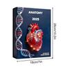 Anatomie Adventskalender Weihnachten 24-Tage 2D Acryl Anhänger Lustige Menschliche Anatomie Miniaturen für Ärzte Krankenschwestern Lehrer Studenten
