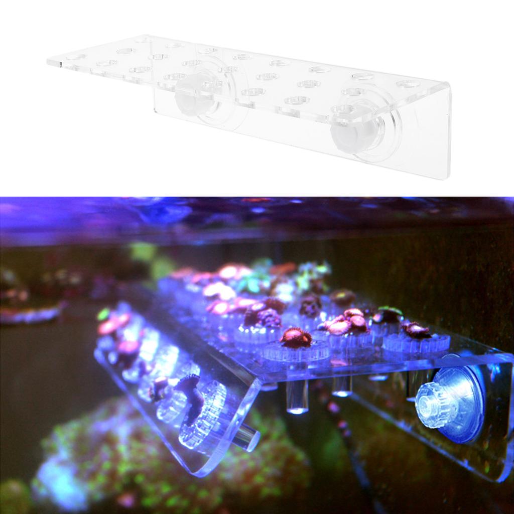 23 Holes Transparent Acrylic Aquarium Coral Holder Coral Supporter Fish Tank Accessories Fish Tank Accessories