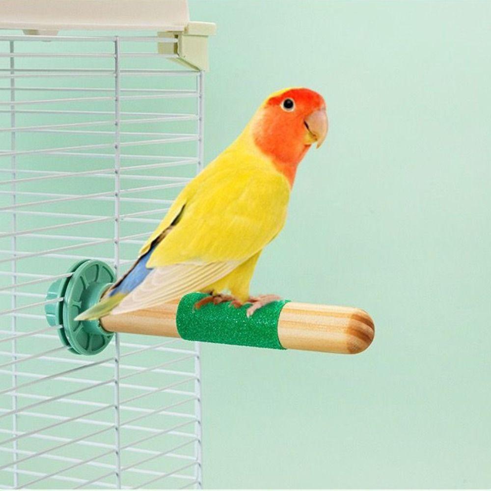 Stable Parrot Standing Pole Wear Resistant Frosted Station Pole Claw Maintenance