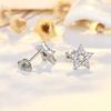 Exquisite Micro-set Zircon Five-pointed Star Earrings for Women New Light Luxury Niche Super Flash Earrings