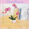Artificial Orchid Bonsai With Phalaenopsis Aphrodite For Home Decor And Gift Giving