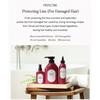 TENZERO Hair Protecting Shampoo Severe Damaged Scalp 500ml