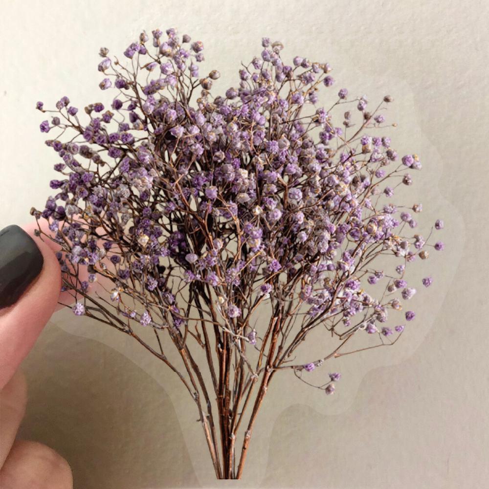 50Pcs Dried Flower Collection Record Pet Stickers Decorative Handmade Scrapbooking Material Diary Album Craft Supplies