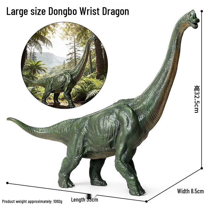 Large Jurassic Dinosaur Model: Dongbo Wanlong Poseidon