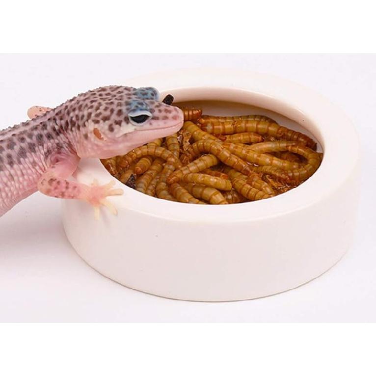 Reptile Food Water Bowl, 2 pcs Ceramics Worm Dish ,Anti-Escape Reptile Water Feeder ,Mealworm Bowl for Lizard Gecko Bearded Dragon, (S,M,L) (Large) Medium