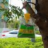 Transparent Fly Trap Bag for Catching Flies