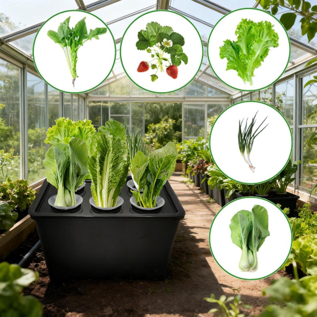 Plant Starter Trays Adjustable Humidity Cover Propagator Growing Plant Starter Trays For Flowers Vegetables Indoor Dorm Office