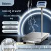 Stainless Steel Waterproof Seafood Weighing Scale, 150kg/300kg Capacity