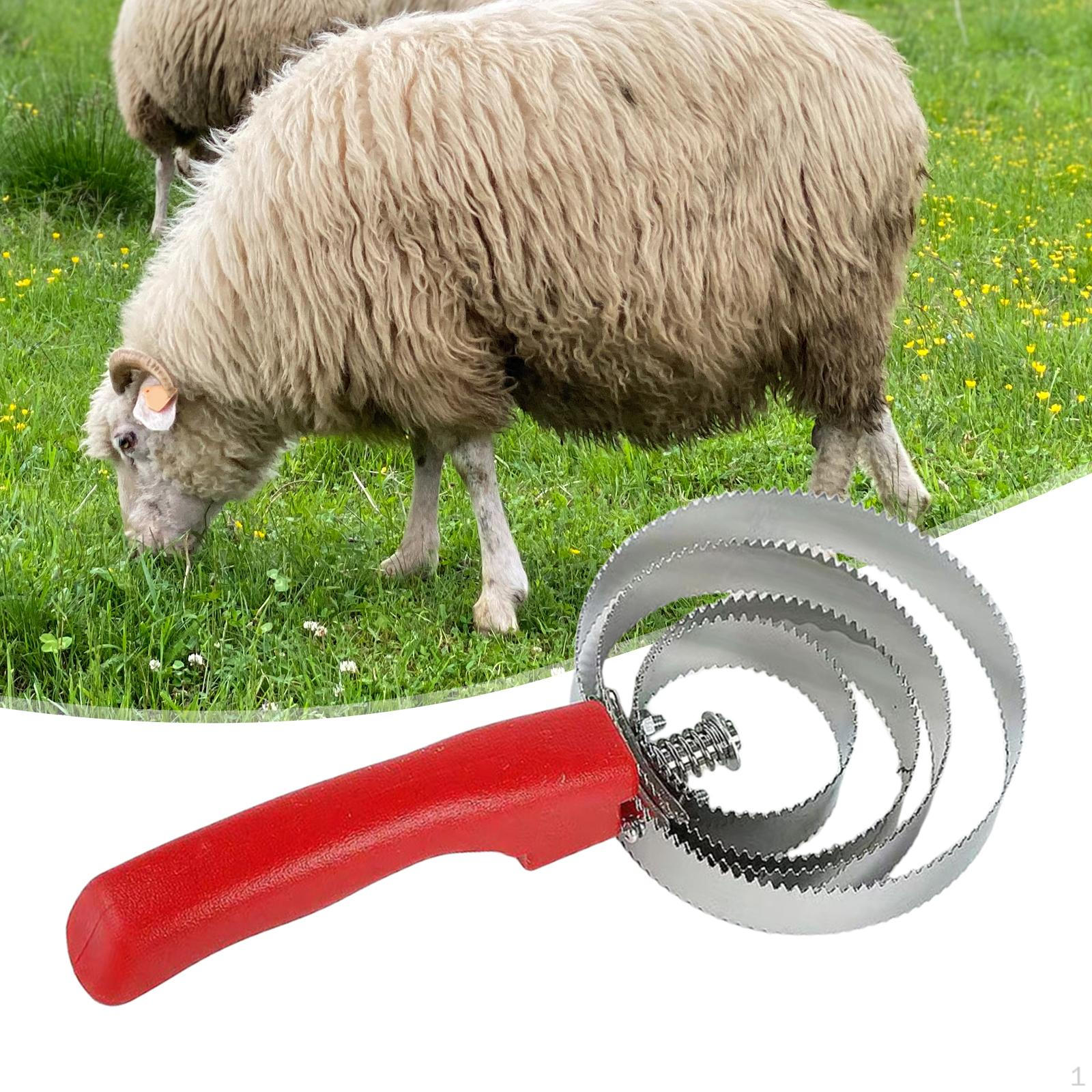 

Двусторонняя щетка для карри, многофункциональная, инструмент для линьки лошадей, щетка 4 Rings