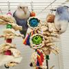 Natural Parrot Bird Toy Natural Cuttlefish Bone Vine Ball Luffa Corn Husk tooth Grinding Cage Hanging Supplies Bird Accessories
