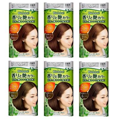 Kao - Blaune Aroma & Gloss Haarcolorationscreme
