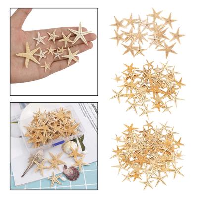 Mini Natural Flat Tan Starfish Seashells Beach Wedding Decor Craft Supplies