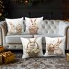 Vikama Easter Bunny Throw Cushion Set For Living Room Sofa Cushion Set For Bedroom Office Pillow Set For Holiday Home Decoration