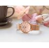 Часы Festina 20477/1 Boyfriend F20477 1