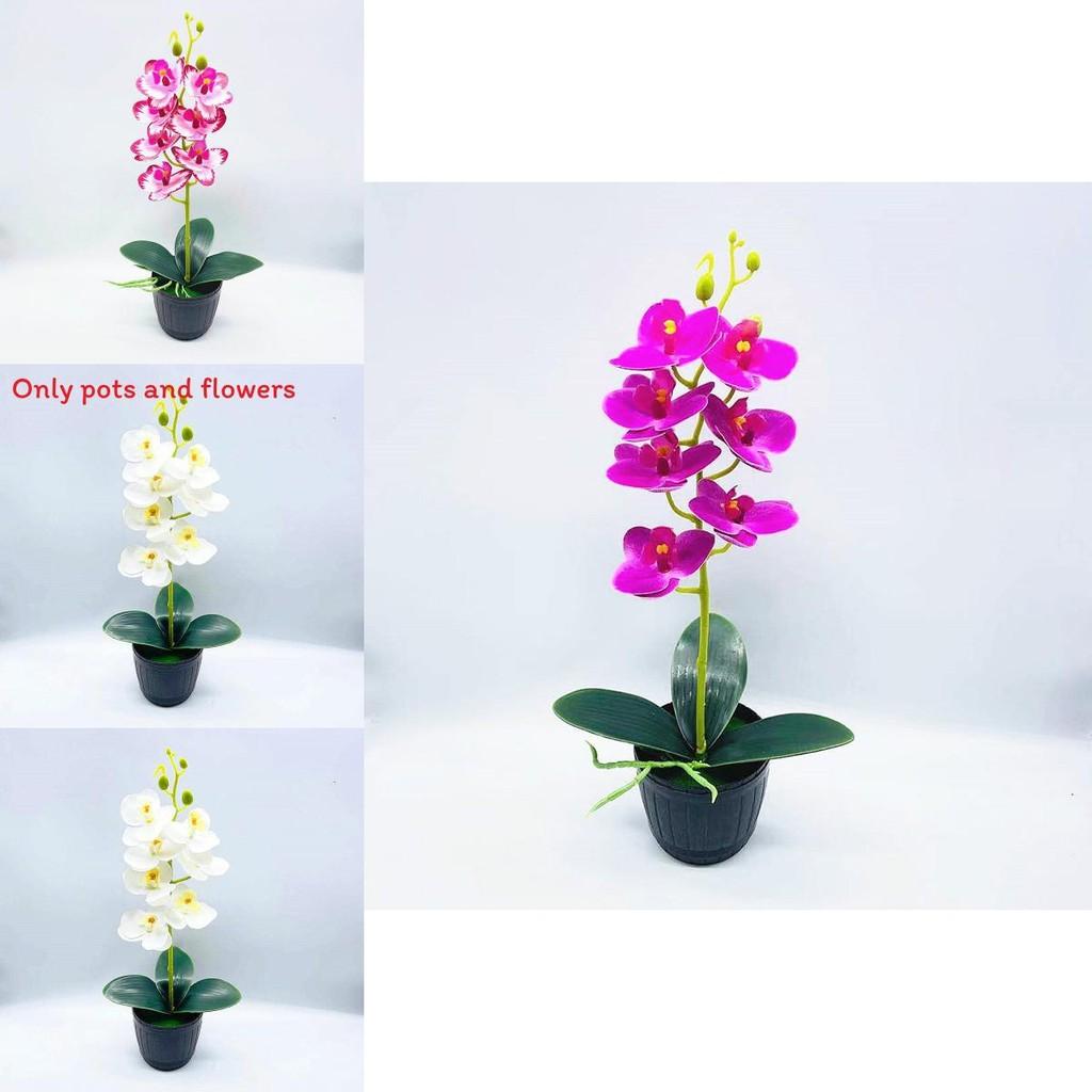 Phalaenopsis Aphrodite Rchb Decorative Fake Plant With Silk Flowers For Table Centerpieces And Gift