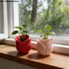 Desktop Ornament Plastic Mini Rose Shape Pots Cute Decorative Succulent Plant Basin Unique 3D Printed Plant Pot Kitchen Use