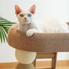 JINGRUIXIANG Cat Tree with Condo and Scratching Post