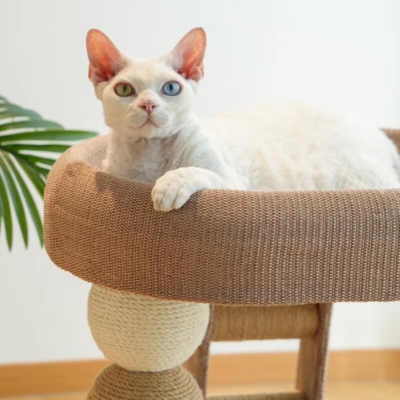 JINGRUIXIANG Cat Tree with Condo and Scratching Post