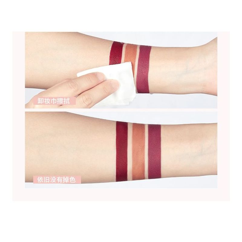 Pudaier - Velvet Matte Liquid Lipstick - 12 Colors