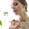 Car Aroma Crystal Pendant Perfume Set - Essential Oil Fragrance & Deodorizing Diffuser Refill