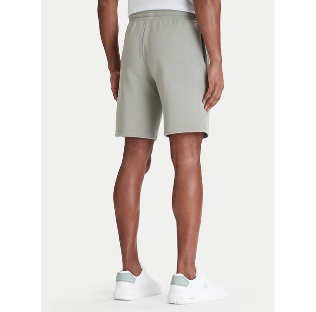 Спортивные шорты Emporio Armani Underwear EM000495 AF19060 U8046