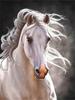 Diamond Art Painting Horse Full Round Embroidery Mosaic Animal Handmade Home Decor