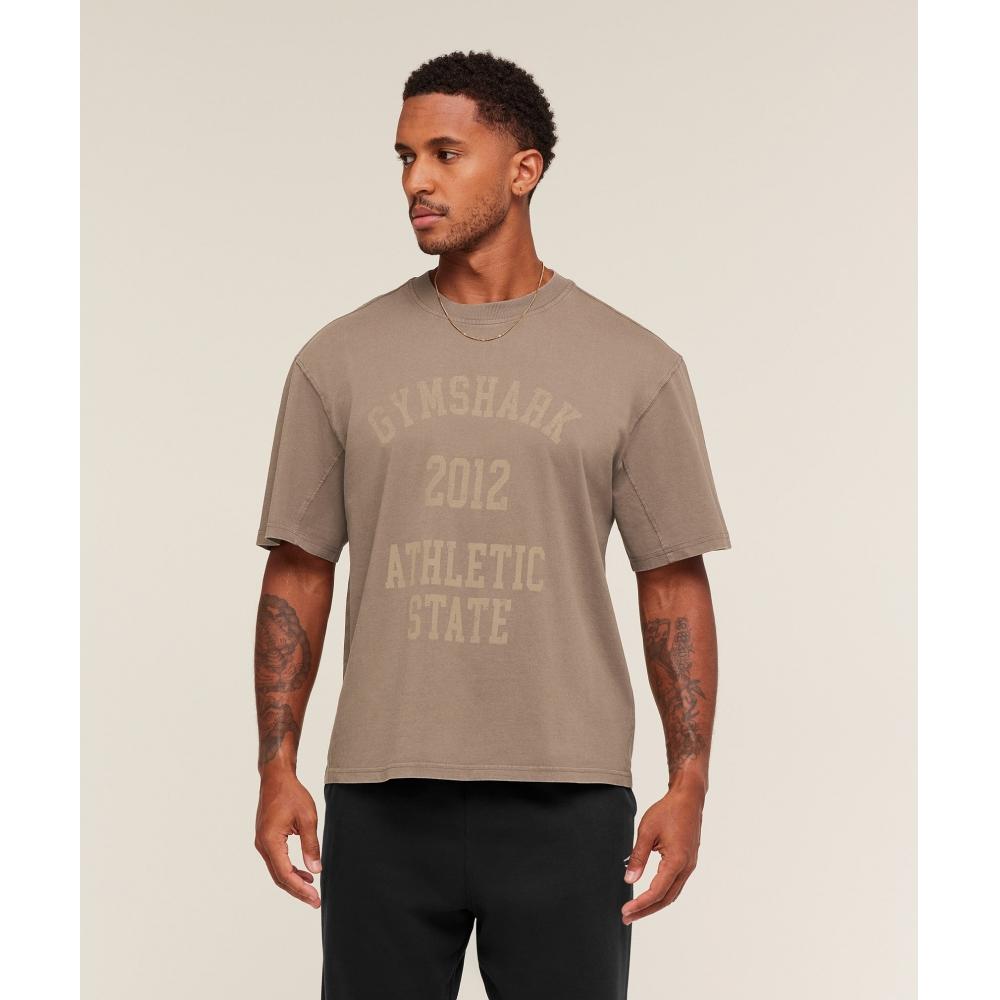 Gymshark CollegiaTe Washed T shirT sofT Brown A3b5o Nbzv