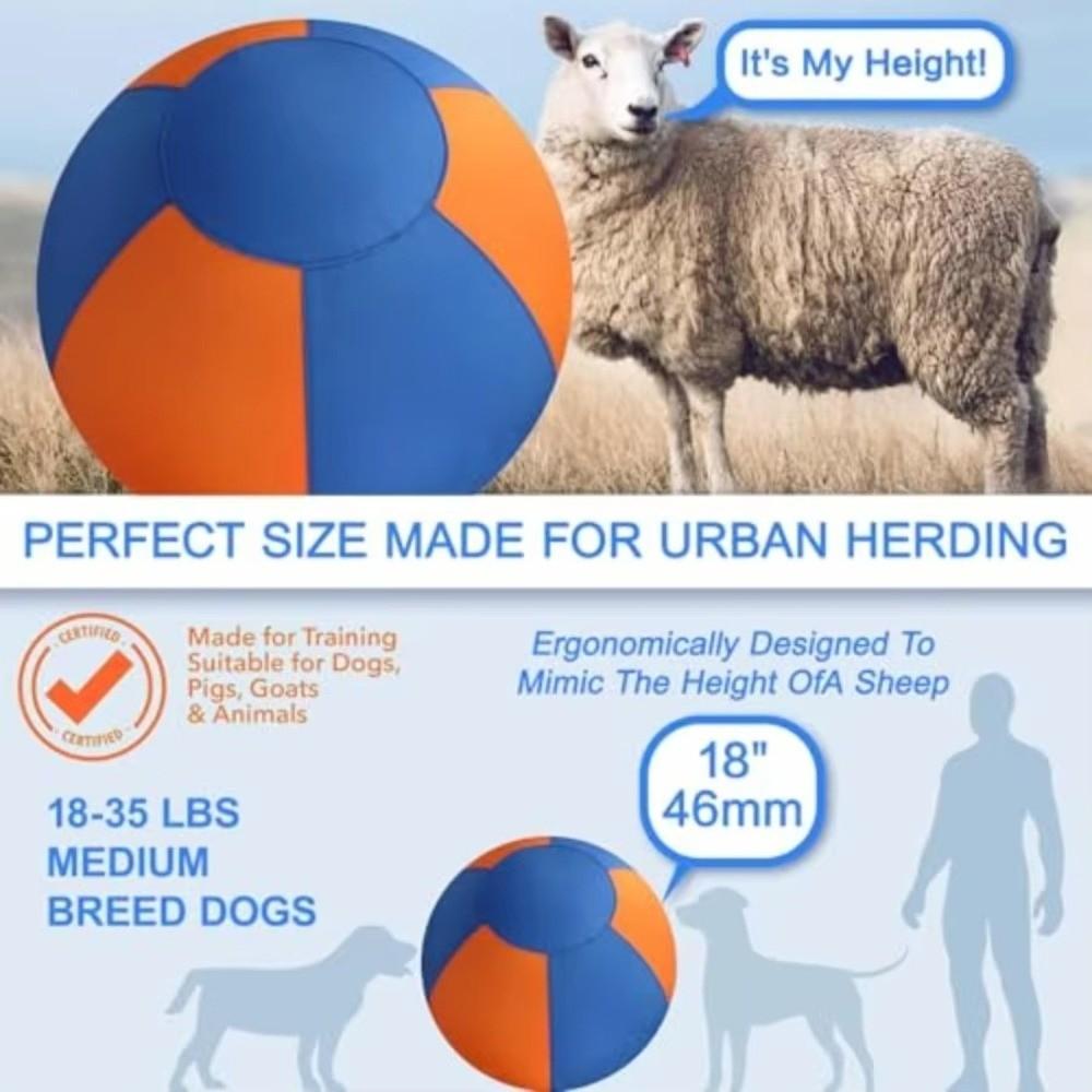 Proti poškrábání Obří hračka míč pro psy Odolný pastvina míč Interaktivní míč pro psy Hra Hraní hry