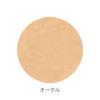 ONLY MINERALS Premium Foundation (7g)
