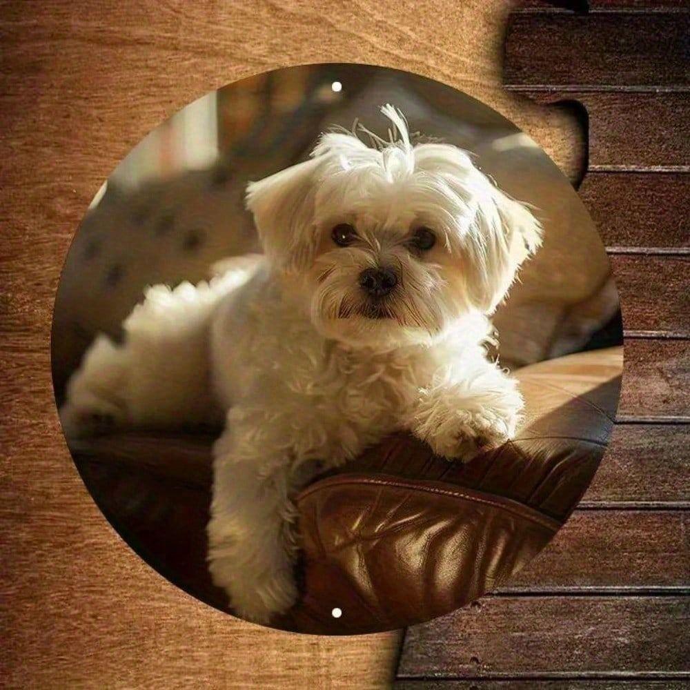 Maltese Dog Metal Wall Art Poster, White Maltese Canine Home Decor