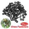 Clips Fixing Ring Grape Tool Vegetable Strapping Clips Vines Fasteners Garden Plants Buckle