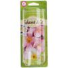 - BAHAMAS & CO. - Bahama & Co BAHNECK Air Freshener Waikiki Wild Hibiscus Scent Chain Green CE