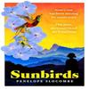 Sunbirds by Penelope Slocombe Paperback Book 9781399817264