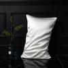 European Style Pure Mulberry Silk Double-Sided Pillowcase, Solid Color, Envelope Style, Beauty Pillowcase.