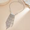 Light Luxury Tassel Chain – Sparkling Diamond Detail, Elegant Necklace for Party or Daily Wear, Timeless Feminine Style