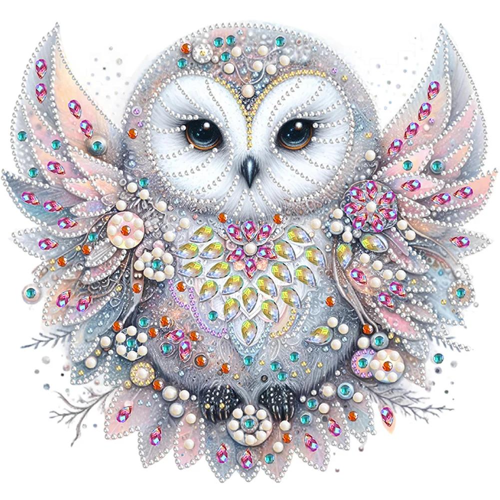 5D DIY Partial Special Shaped Drill Diamond Painting Kit Bald Owl Home Decor