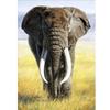 Animal Dolphins with Fish 5D Diy Diamond Painting Full Round Drill Mosaic Diamond Embroidery Rhinestones Home Decoration