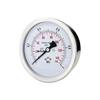 Ruitongsheng YTP100ZBF Hygienic Diaphragm Pressure Gauge