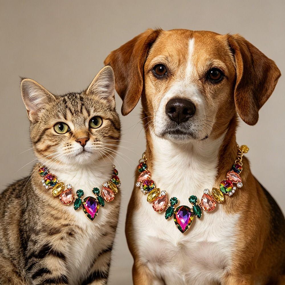 Adjustable Pet Necklace Stainless Steel Diamond Collar Luxury Cat Collar Wedding Photography
