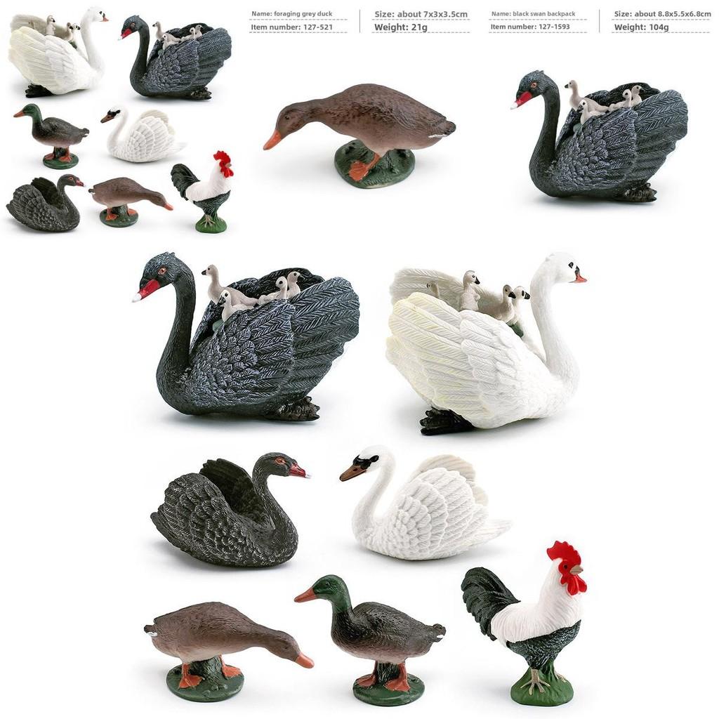 Tierfigur mit realistischen Plastikenten, Hahn, Schwänen für Bildungszwecke und zum Sammeln