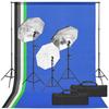 VidaXL Photo Studio Kit with Lighting and Backdrop Photography Light Background System Kit 3094730