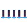 Ruifu Titanium Bolts M6x10 15 20 25 30 35mm T30