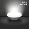 Ceiling Light LED Small Size 6 Tatami 150W Type Equivalent 15W 1600lm Entrance Gate Light Corridor Stairs Kitchen Storeroom Washroom Toilet Ceiling